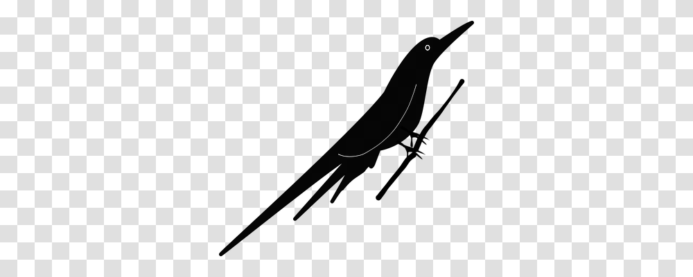 Bird Animals, Moon, Outer Space, Night Transparent Png