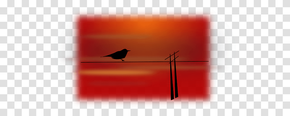 Bird Holiday, Animal, Silhouette, Nature Transparent Png