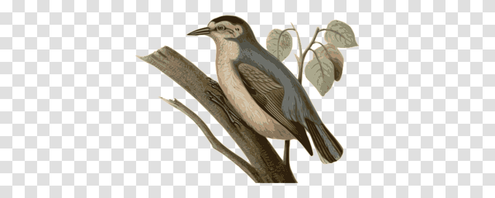 Bird Animals, Axe, Tool, Sparrow Transparent Png