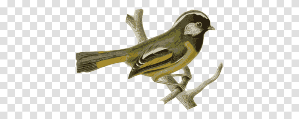 Bird Animals, Axe, Logo Transparent Png