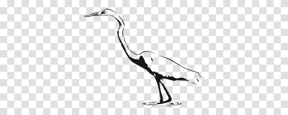 Bird Animals, Stork, Vulture, Crane Bird Transparent Png