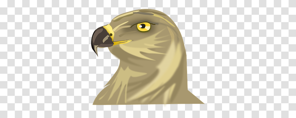 Bird Animals, Beak, Helmet Transparent Png