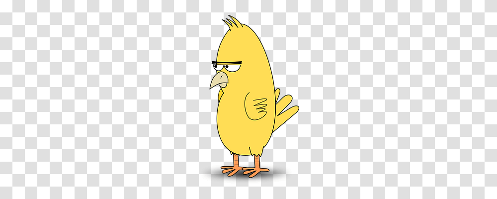 Bird Emotion, Animal, Angry Birds Transparent Png