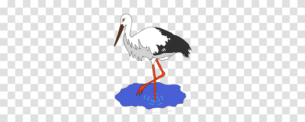 Bird Animals, Stork, Pelican, Beak Transparent Png