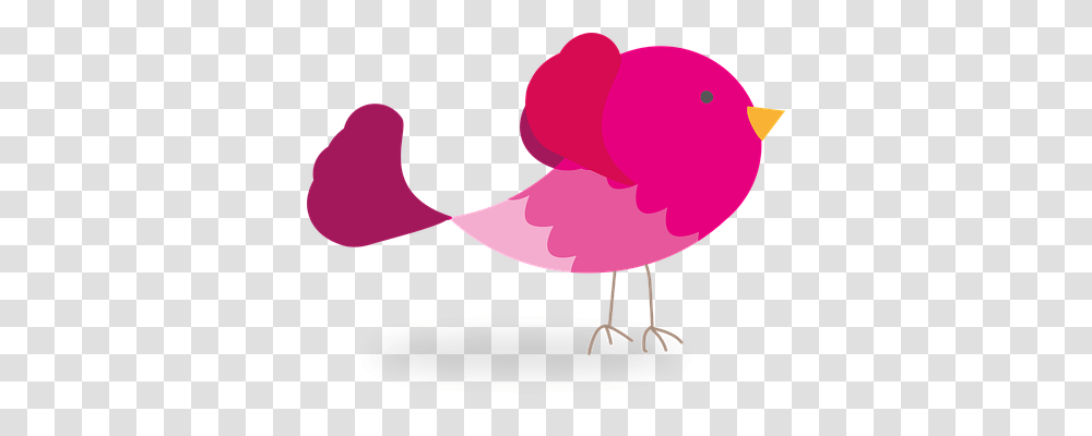 Bird Animals, Flamingo Transparent Png