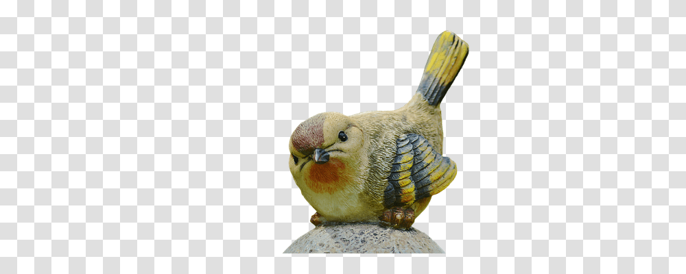 Bird Tool, Animal, Finch, Beak Transparent Png