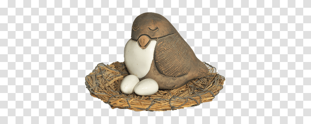 Bird Tool, Animal, Egg, Food Transparent Png