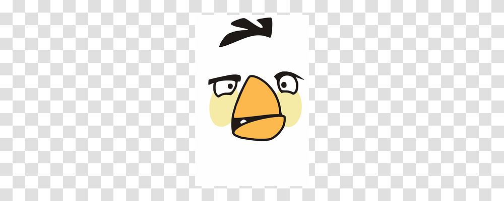 Bird Angry Birds Transparent Png