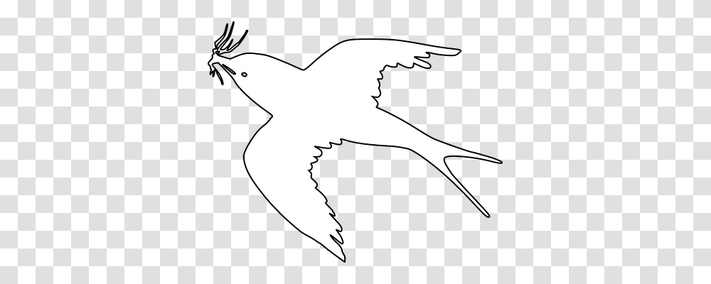 Bird Animals, Silhouette, Flying, Dove Transparent Png