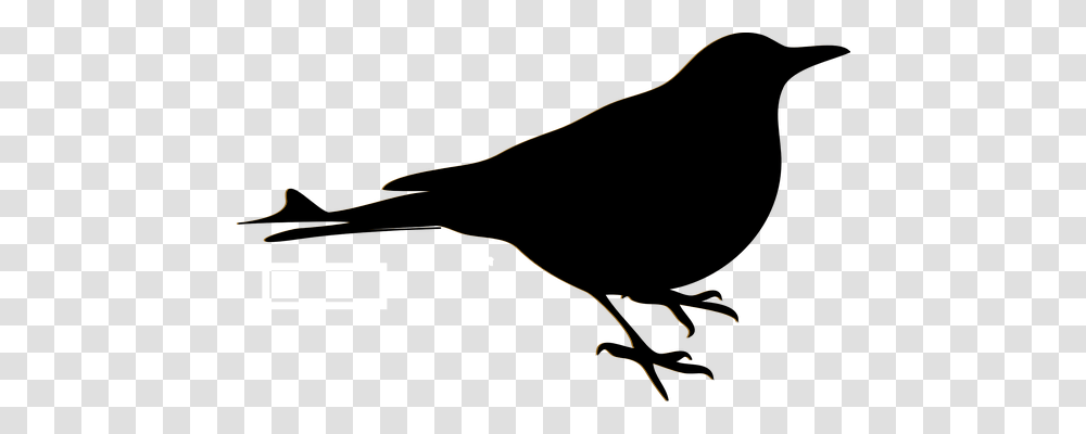 Bird Animals, Bow, Silhouette Transparent Png