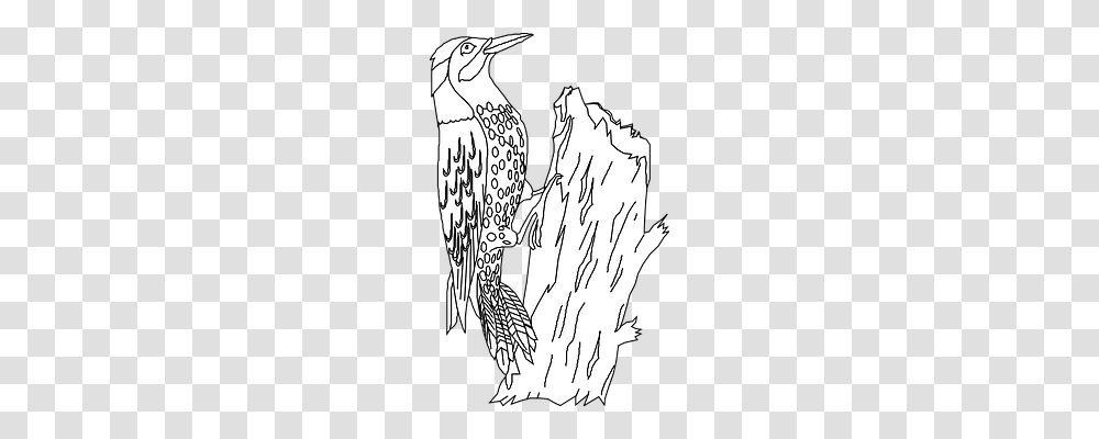 Bird Animals, Drawing Transparent Png