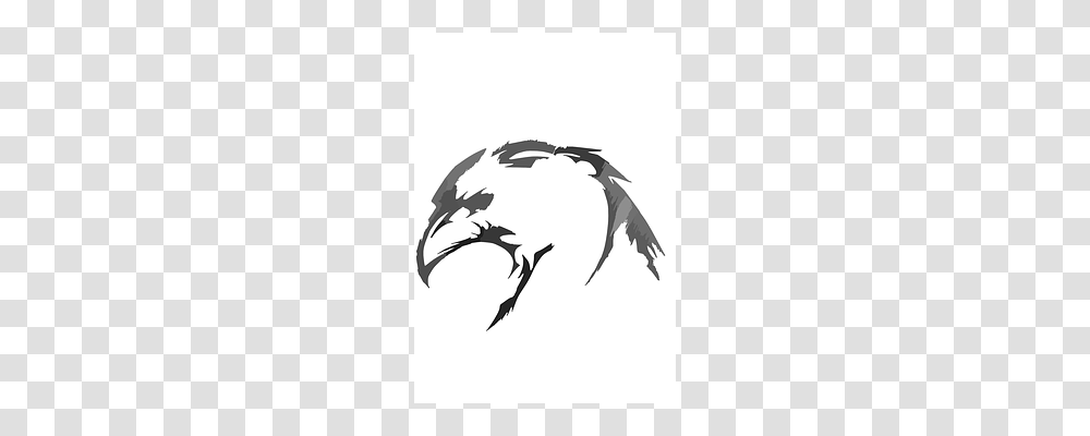 Bird Stencil, Eagle, Animal Transparent Png