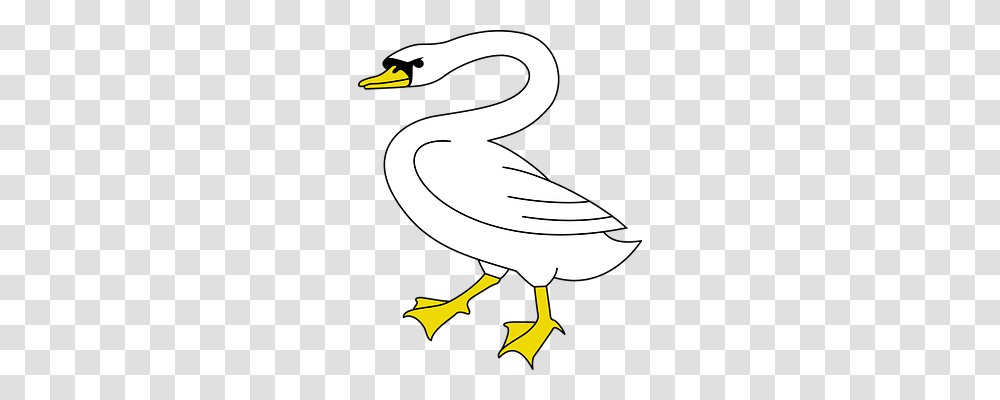 Bird Animals, Goose, Duck, Waterfowl Transparent Png