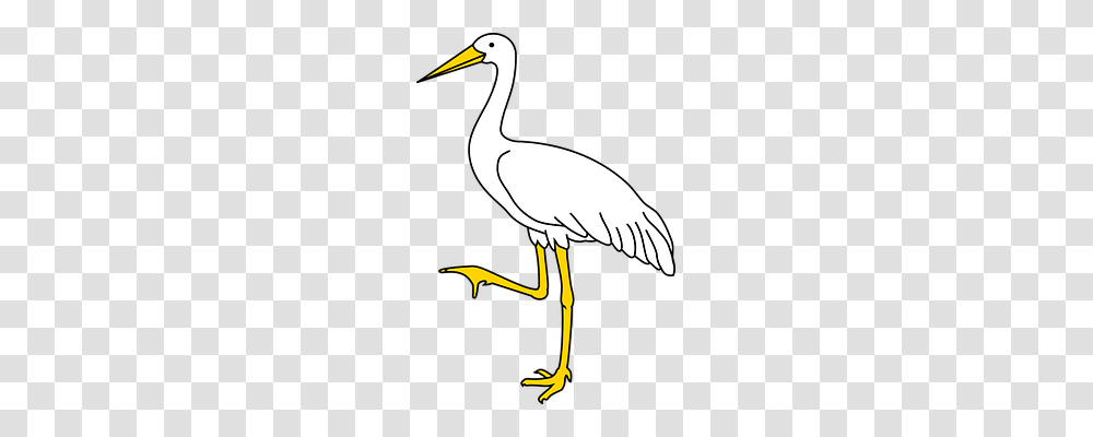 Bird Animals, Crane Bird, Stork, Hammer Transparent Png