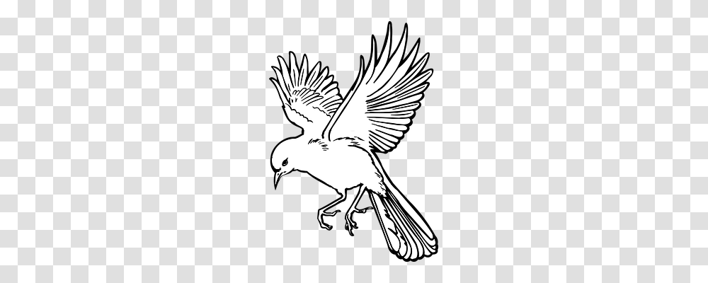 Bird Animals, Flying, Magpie, Eagle Transparent Png