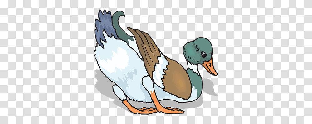 Bird Animals, Dodo, Duck Transparent Png