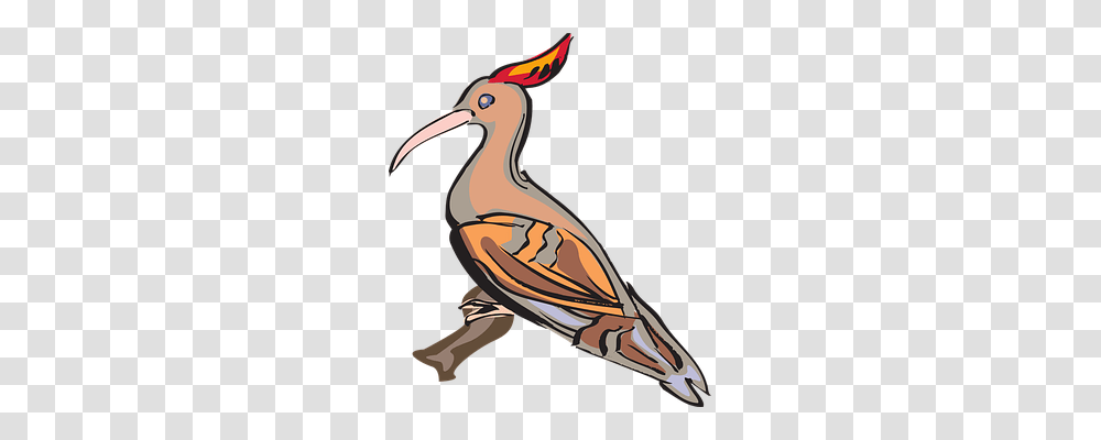 Bird Animals, Axe, Tool, Beak Transparent Png