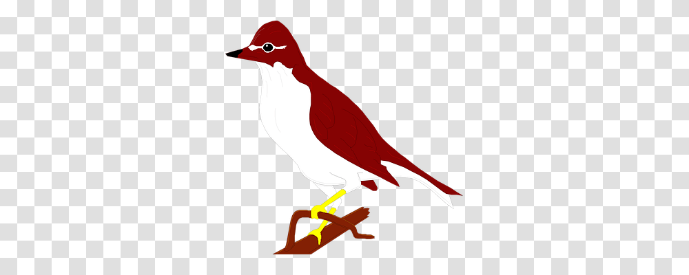 Bird Nature, Animal, Finch, Beak Transparent Png