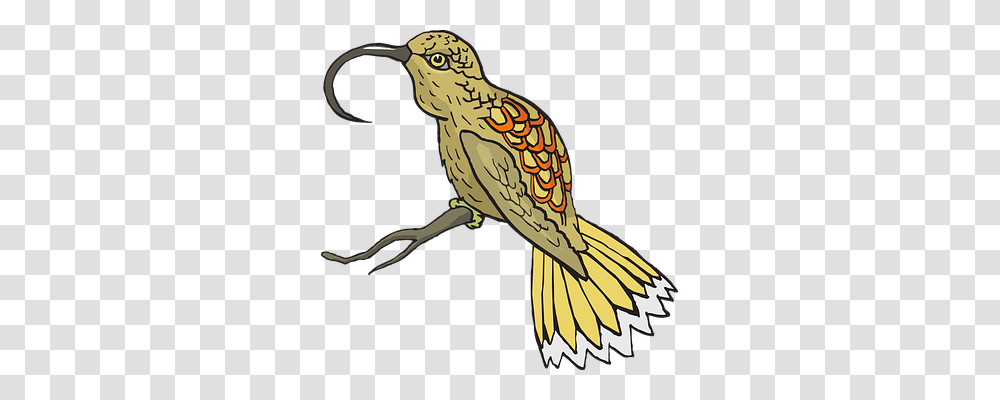 Bird Animal, Beak, Hammer, Tool Transparent Png