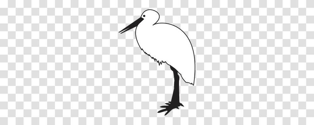 Bird Animals, Beak, Silhouette, Crane Bird Transparent Png