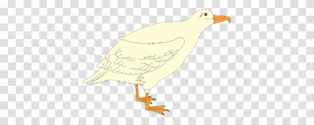 Bird Animals, Axe, Tool Transparent Png