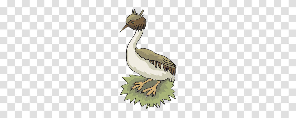 Bird Animals, Goose, Poster, Advertisement Transparent Png