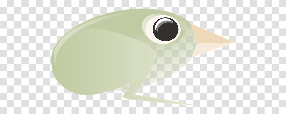 Bird Nature, Wildlife, Animal, Amphibian Transparent Png