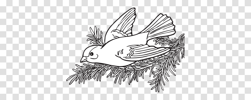 Bird Nature, Drawing, Doodle Transparent Png