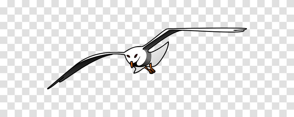 Bird Animals, Flying, Beak, Puffin Transparent Png