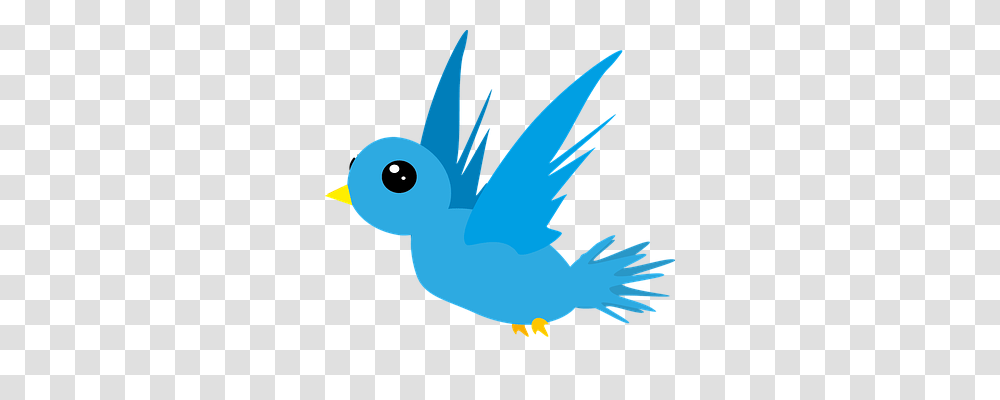 Bird Animals, Flying, Bluebird Transparent Png