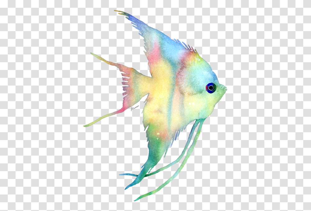 Bird, Angelfish, Sea Life, Animal Transparent Png