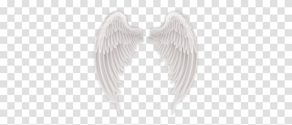 Bird Angels Wings Photo Image Free Hd Angel Wings, Art, Archangel, Animal, Sculpture Transparent Png