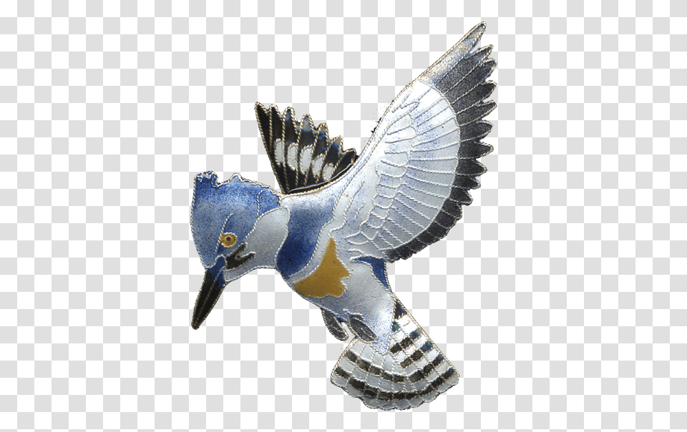 Bird, Animal, Glass Transparent Png