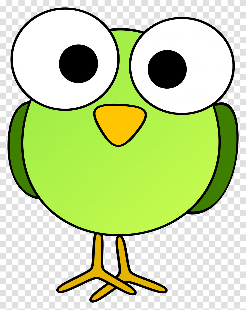 Bird, Animal, Beak Transparent Png