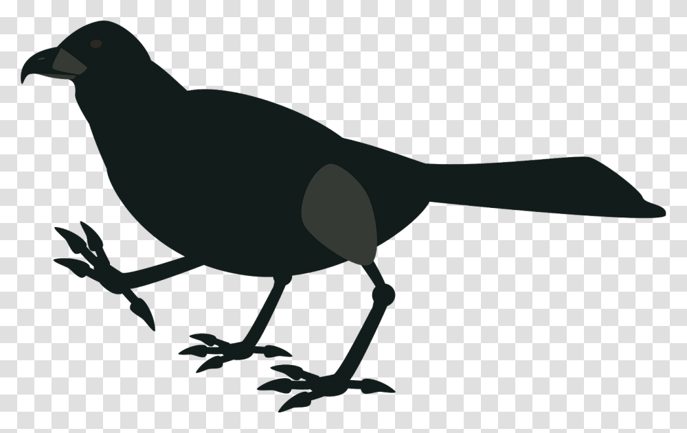 Bird, Animal, Blackbird, Agelaius Transparent Png