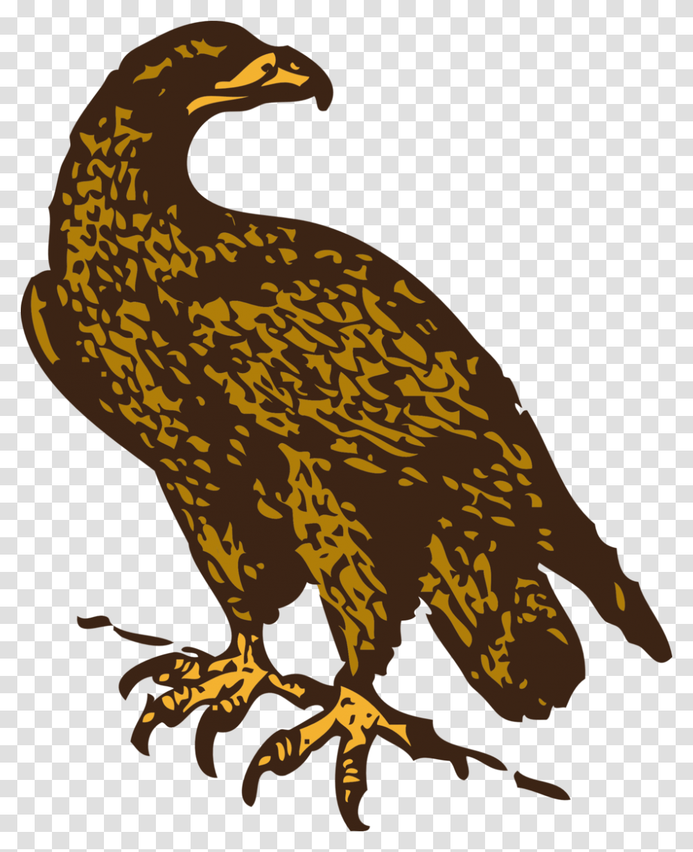 Bird, Animal, Dodo, Eagle Transparent Png