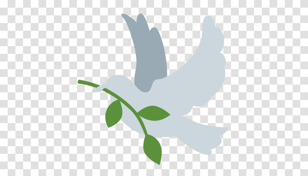 Bird, Animal, Dove, Pigeon Transparent Png