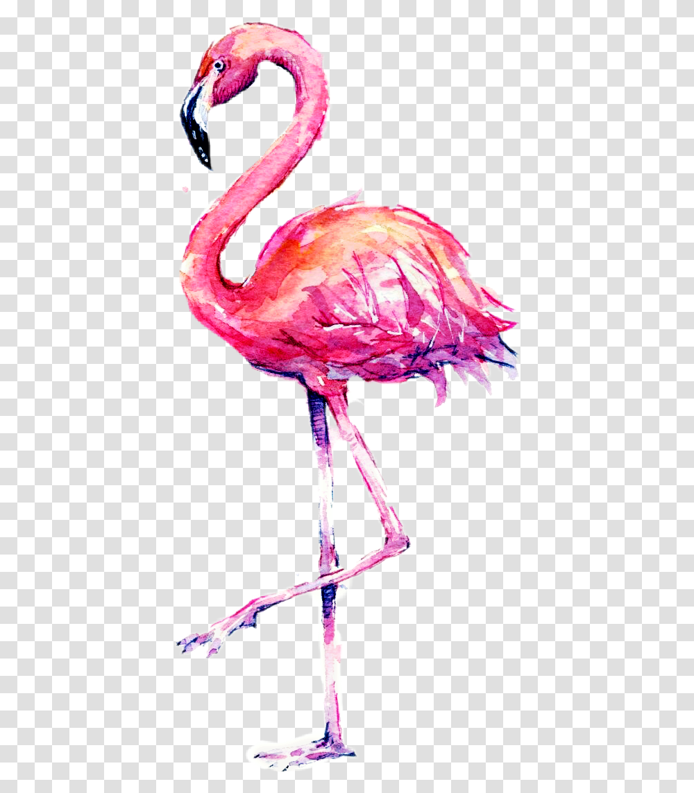 Bird, Animal, Flamingo, Lamp Transparent Png