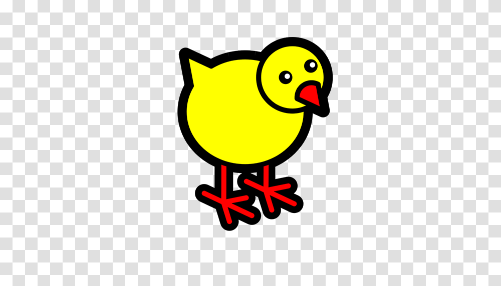 Bird, Animal, Fowl, Poultry Transparent Png