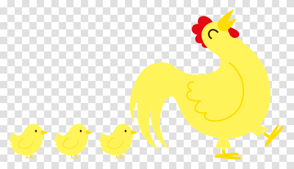 Bird, Animal, Fowl, Poultry Transparent Png