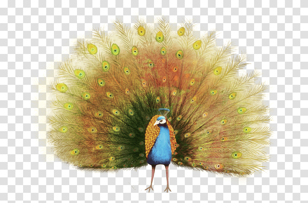 Bird, Animal, Peacock Transparent Png