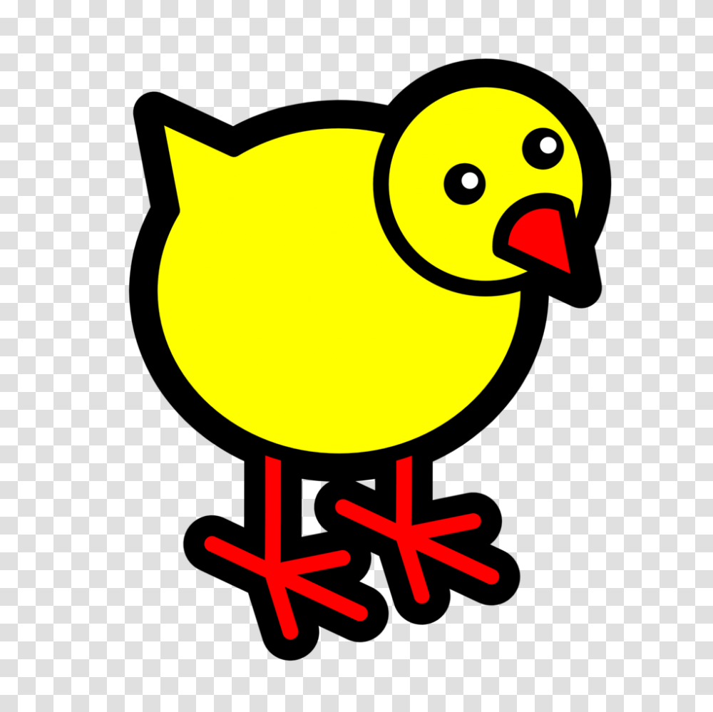 Bird, Animal, Poultry, Fowl Transparent Png