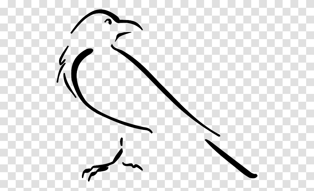 Bird, Animal, Stencil, Finch Transparent Png