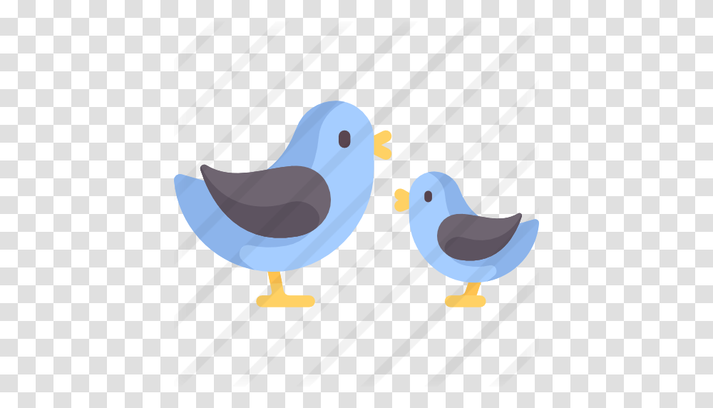 Bird, Animal, Beak Transparent Png