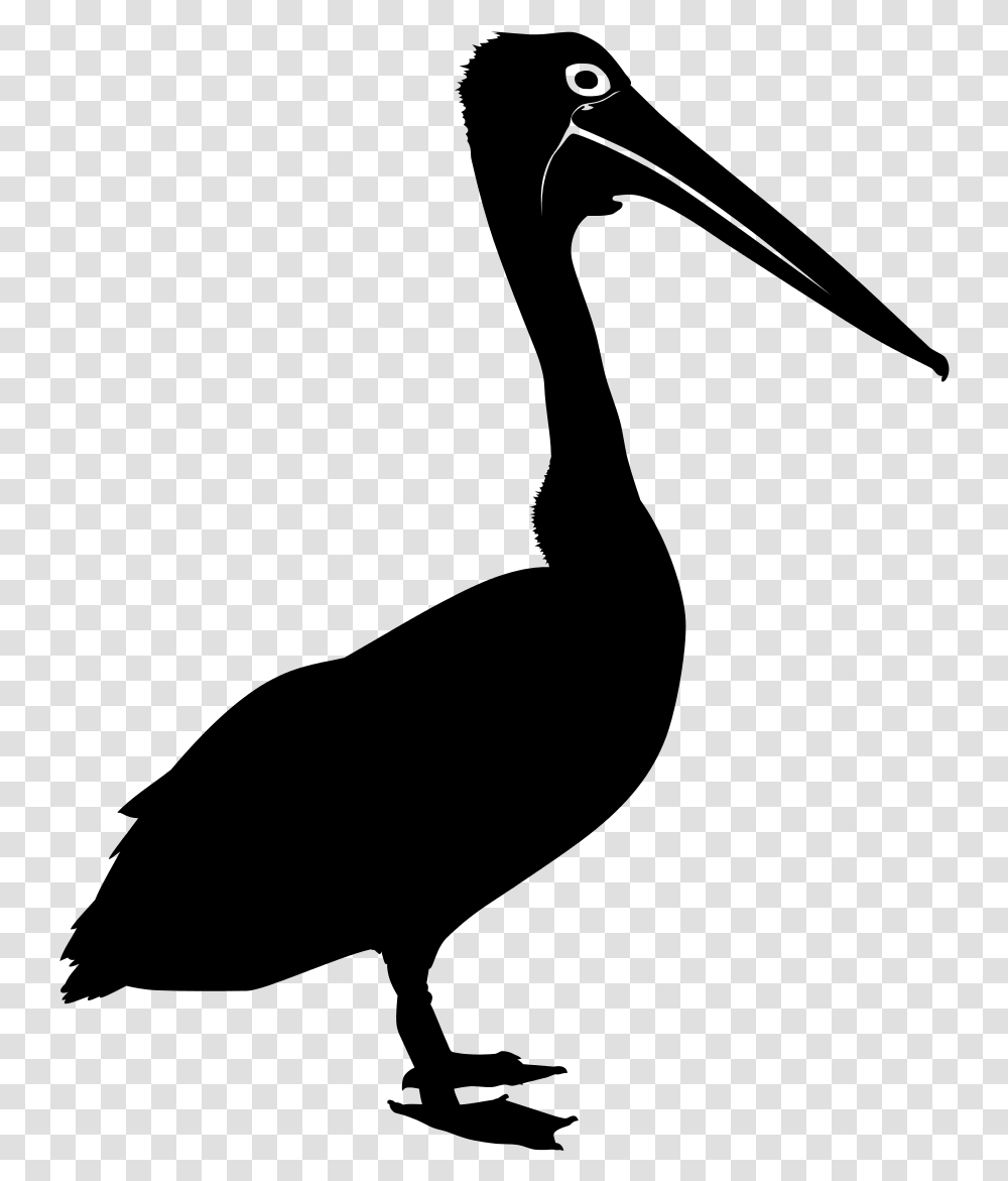 Bird Australian Pelican Silhouette Clip Art Pelicano Silueta, Gray, World Of Warcraft Transparent Png