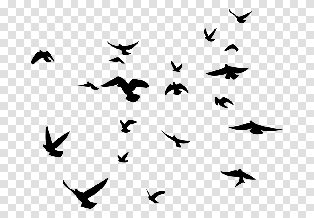 Bird Background Birds Flock Of Birds Silhouette, Gray, World Of Warcraft Transparent Png
