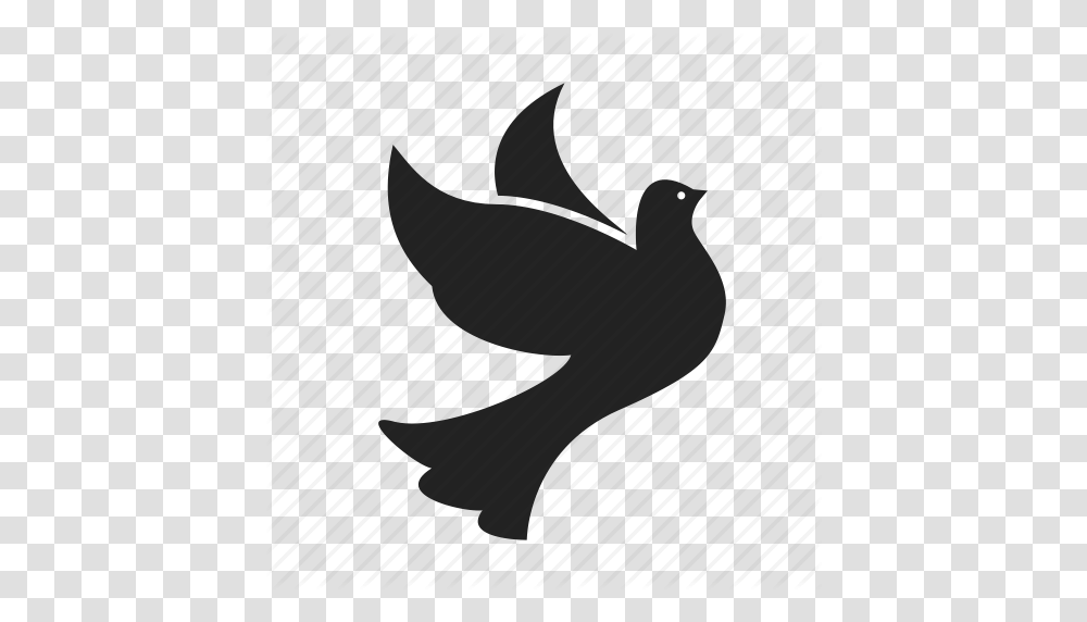 Bird Birds Dove Doves Flight Fly Flying Peace Icon, Animal, Silhouette, Fish, Sea Life Transparent Png