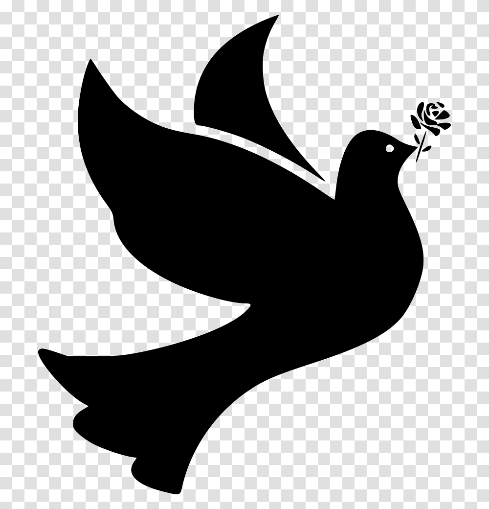 Bird Birds Dove Doves Flight Fly Flying Peace Rose Dove Silhouette, Stencil, Animal, Eagle Transparent Png