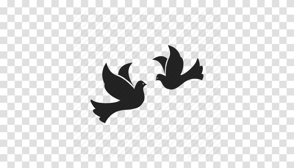 Bird Birds Dove Doves Flight Fly Flying Peace Wing Icon, Animal, Blackbird, Airplane, Silhouette Transparent Png