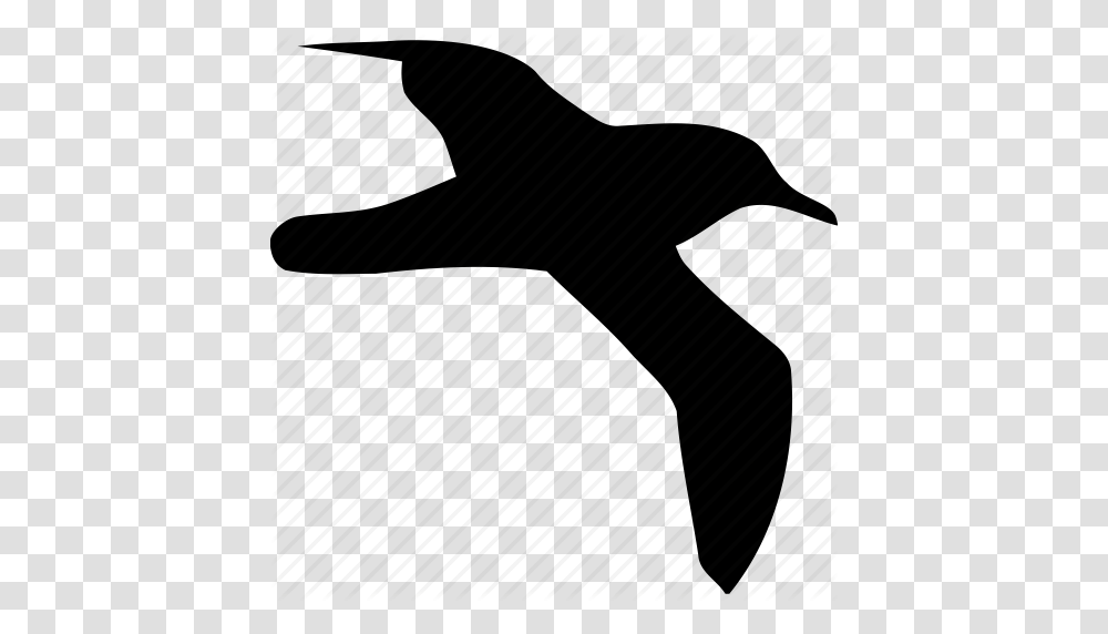 Bird Birds Flight Fly Nature Sea Gull Seagull Icon, Piano, Hand, Animal, Silhouette Transparent Png